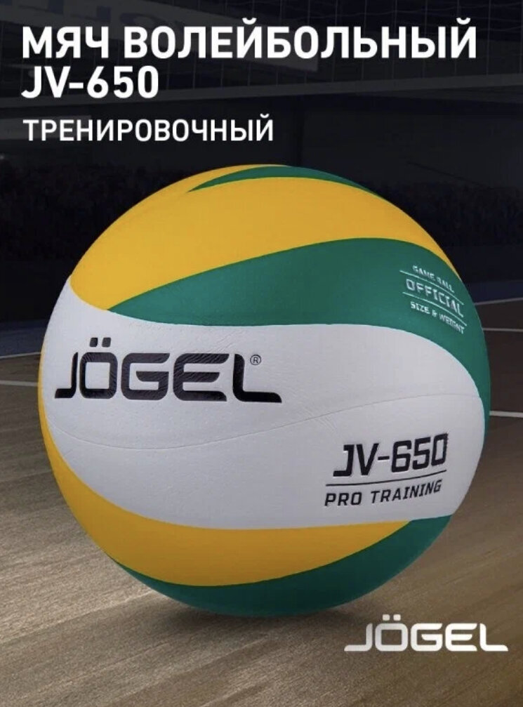 11 лучших волейбольных мячей
